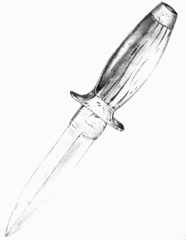 implement_of_destruction_by_lionbrowneyes-d2zrw7w